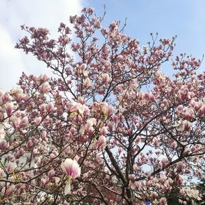 Meet your Posher, Noah